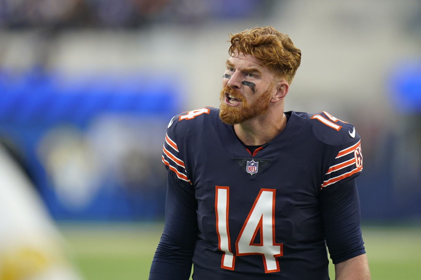 Bears Rams Football